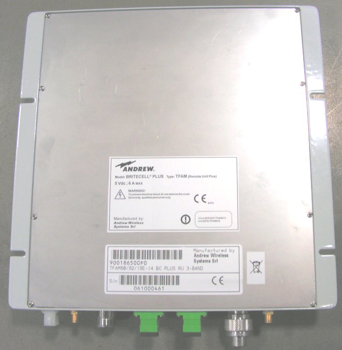 Product image for BCR-BCP-TFAM8919