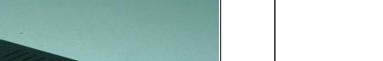 Product image for BDN1093WL