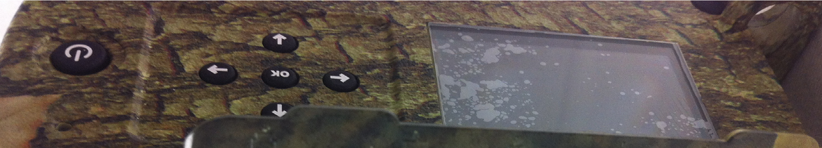 Product image for EEX-MLIVE