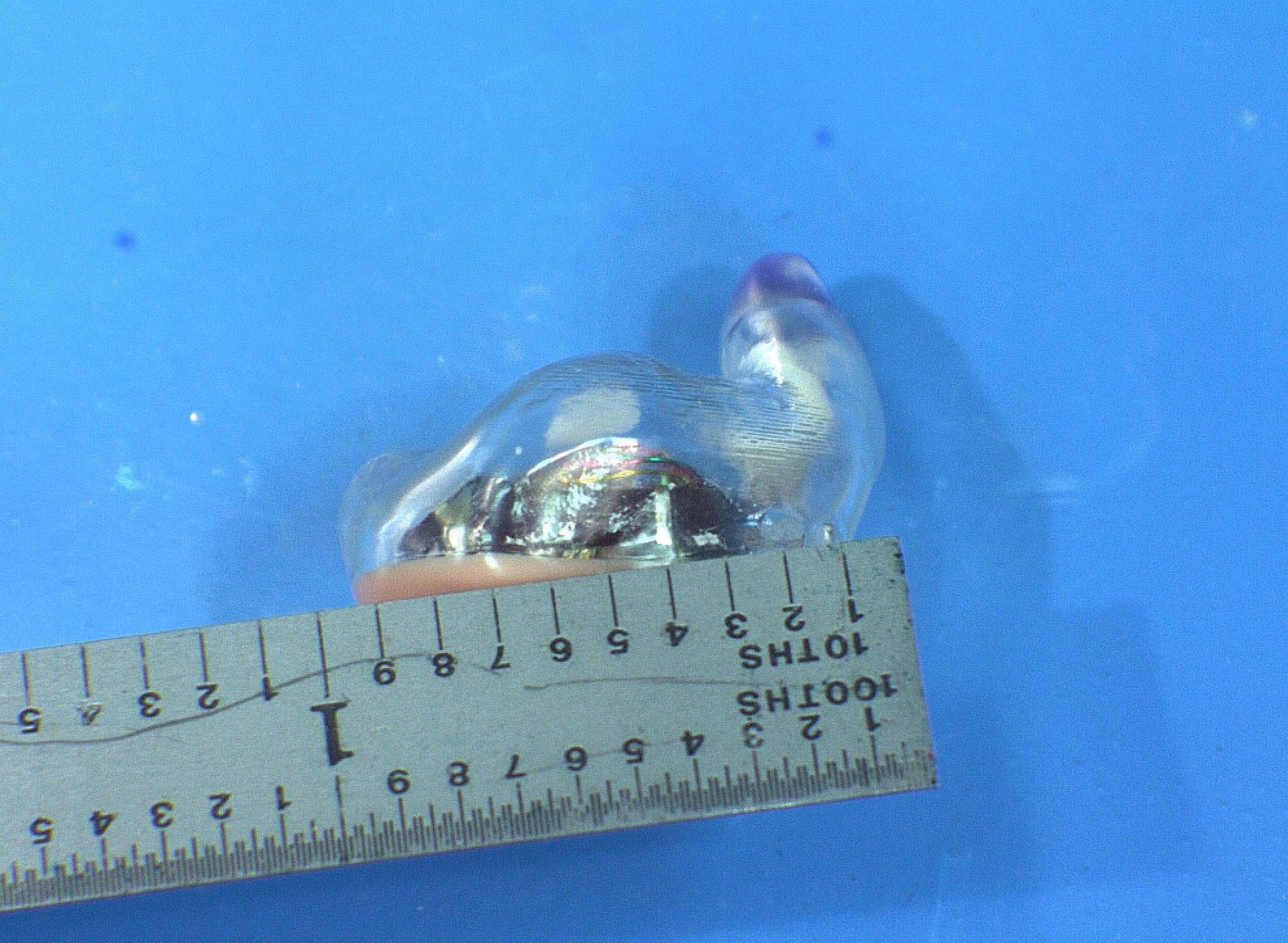 Product image for EOA-ZSERIES-HA