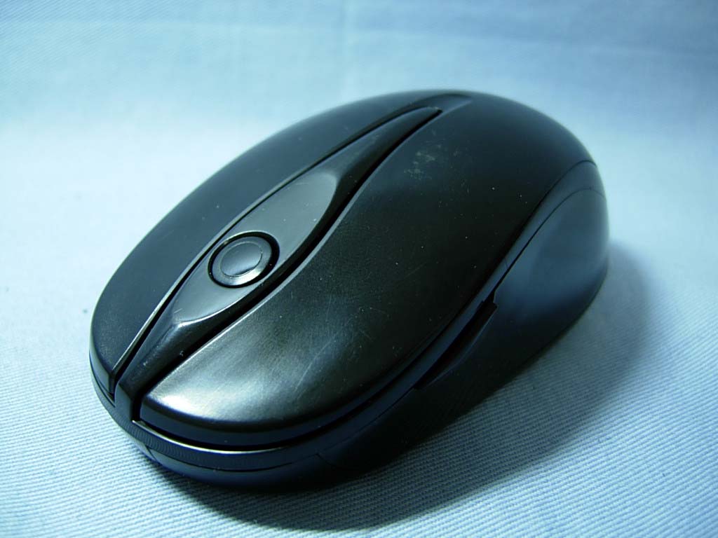 Product image for FSUGMZIB