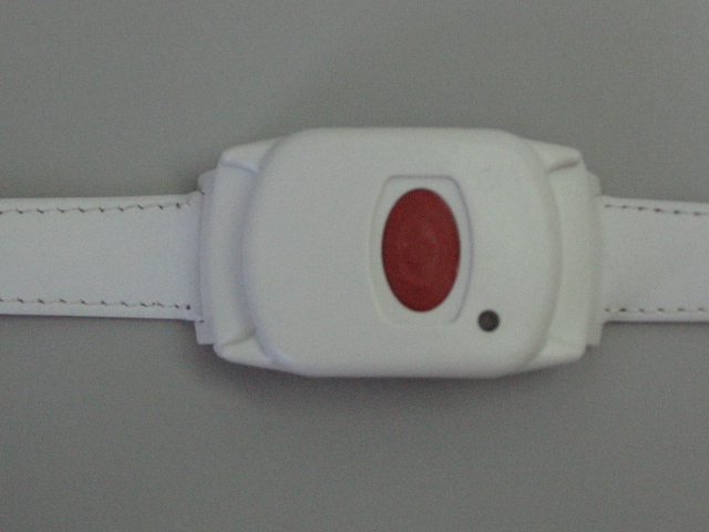 Product image for GSAWPK250