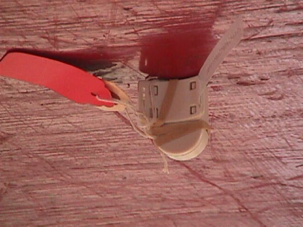 Product image for KNKTX0001