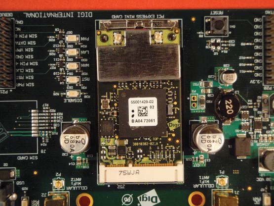 Product image for MCQ-50M1746