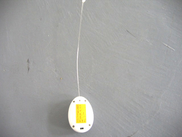 Product image for N9B2036UMI2006