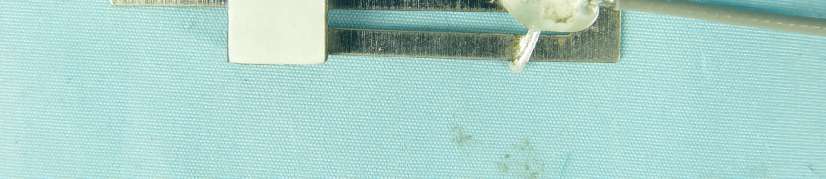 Product image for NHPWLG1801