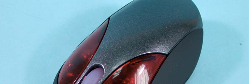 Product image for NIYMWP2038