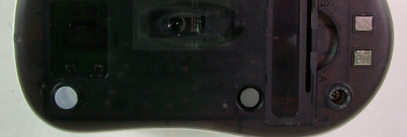 Product image for NIYMWP5016B