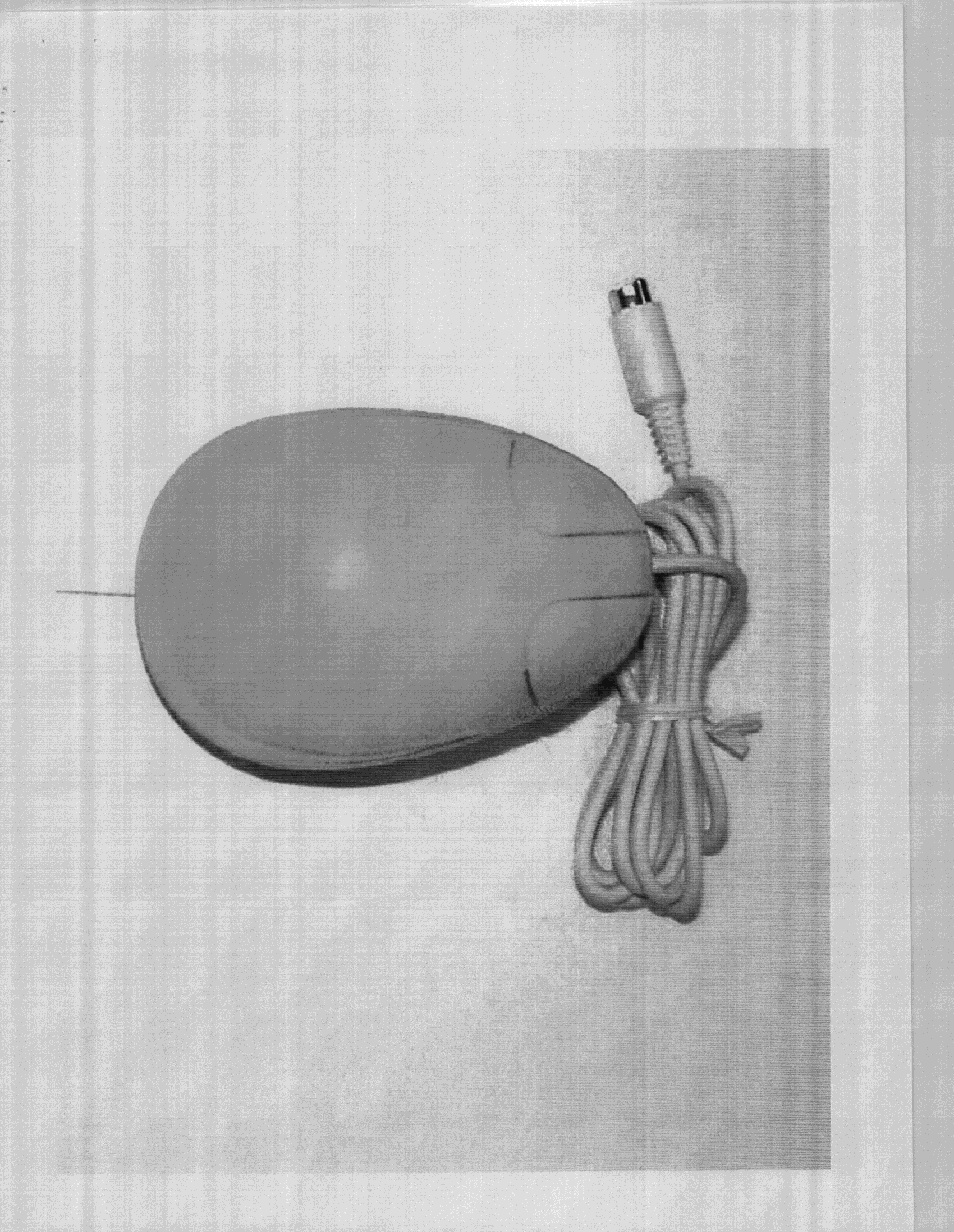 Product image for NW7CM-PS54