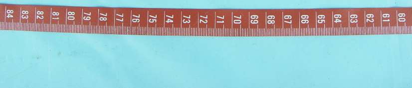 Product image for O9NFALCON11BG