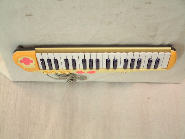 Product image for P2PCOMPIANO