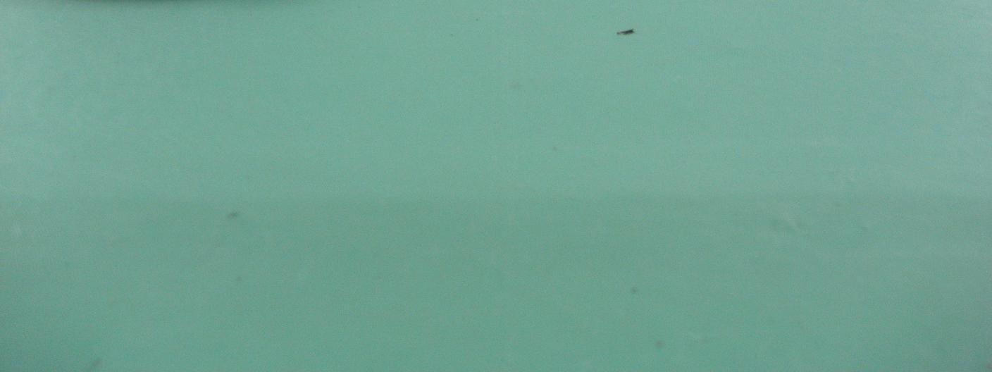 Product image for P3286192