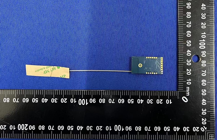 Product image for P53-EMC3290