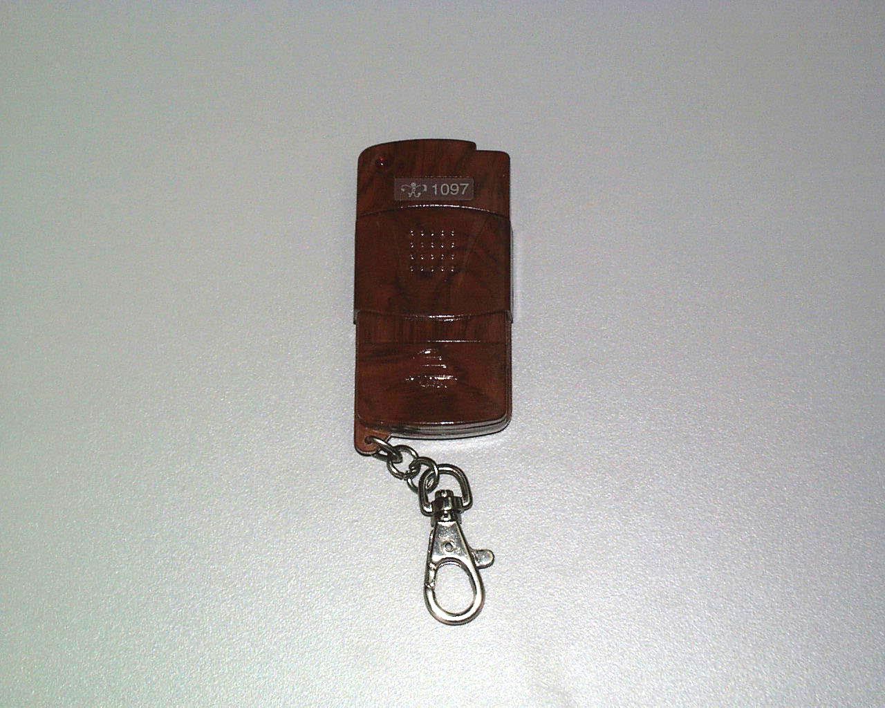 Product image for PACHYE-RC-1097