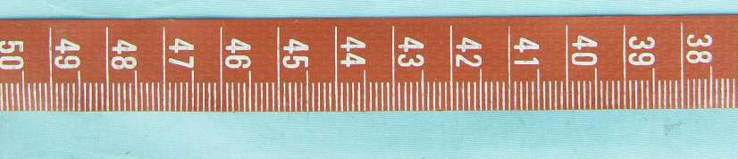 Product image for PANBT333R