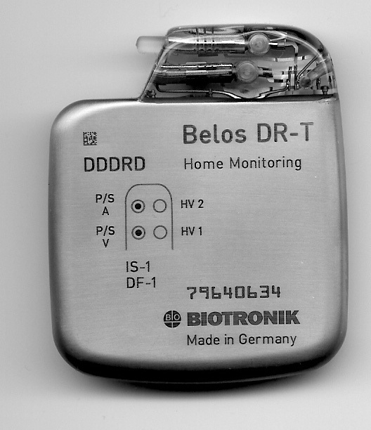 Product image for PG6BELOS-T