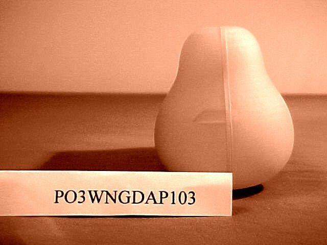 Product image for PO3WNGDAP103