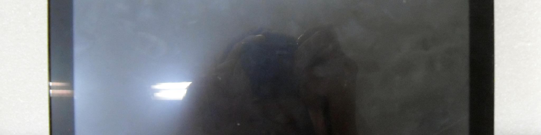 Product image for RTQLPT100SB