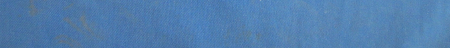 Product image for RYGASNR-AM002