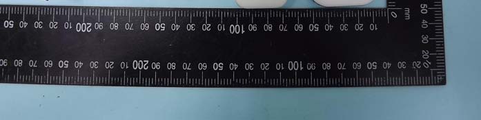 Product image for SS3-201309003