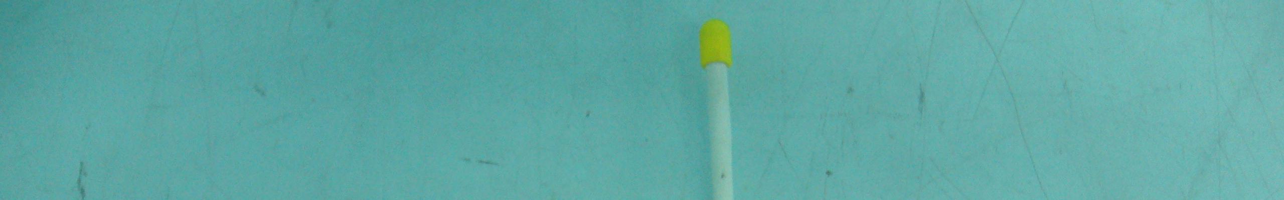 Product image for SVDJP-819062