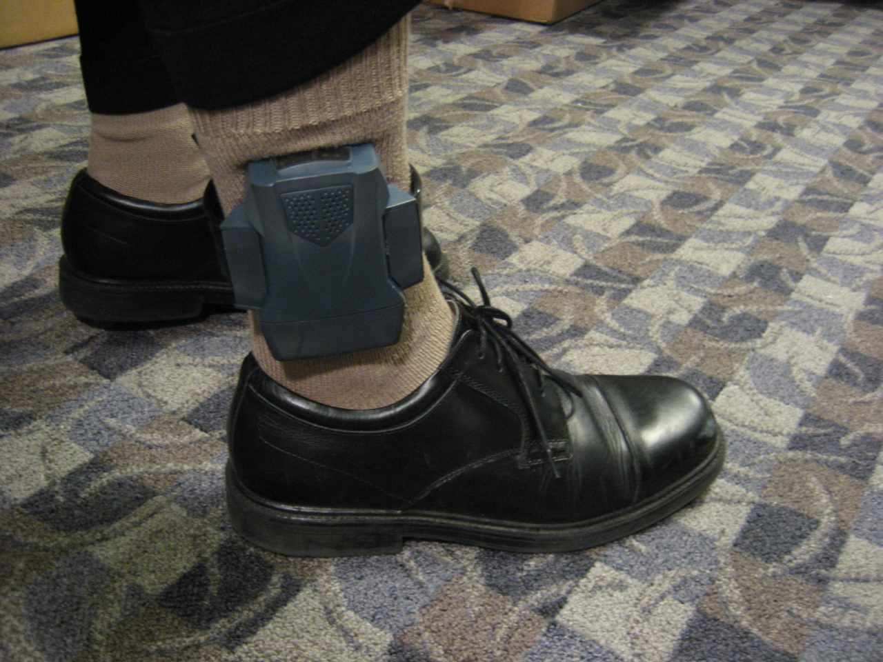 Product image for TPO-OTD300-0