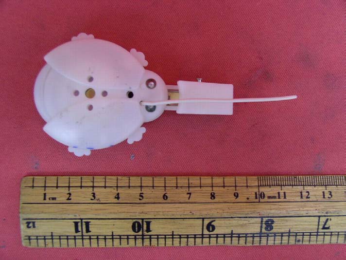 Product image for TW2GBTT1001210306