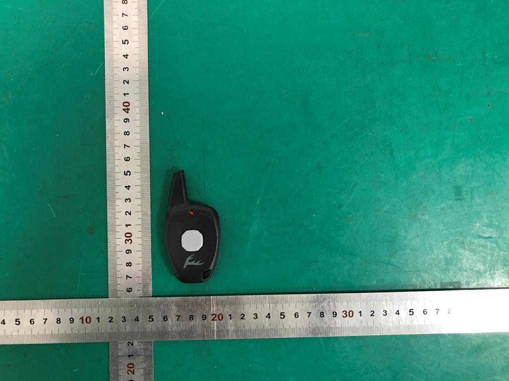 Product image for VEPGL-AHACTIVATOR