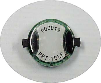 Product image for VZKPPT