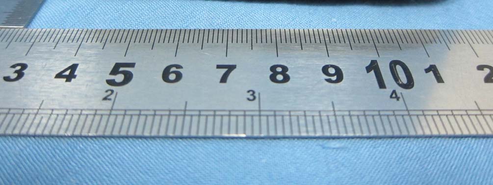 Product image for WS5DORO612