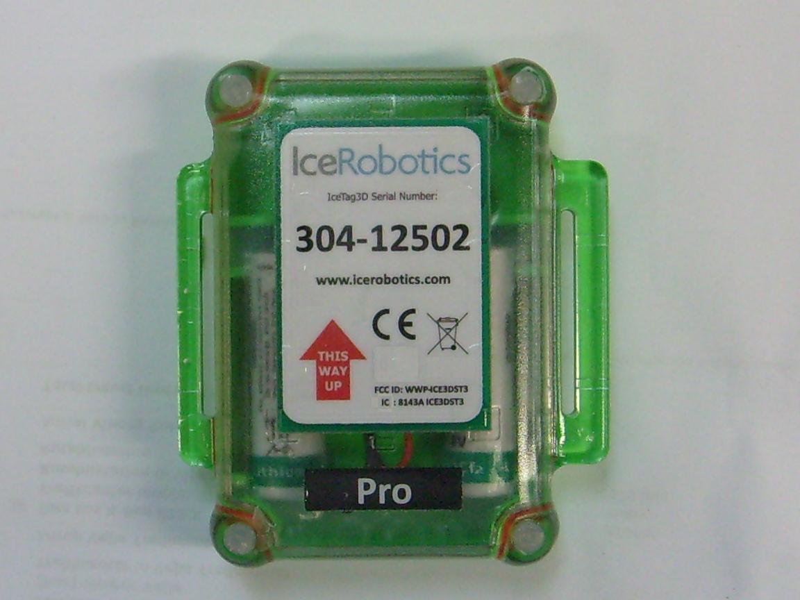 Product image for WWP-ICE3DST3