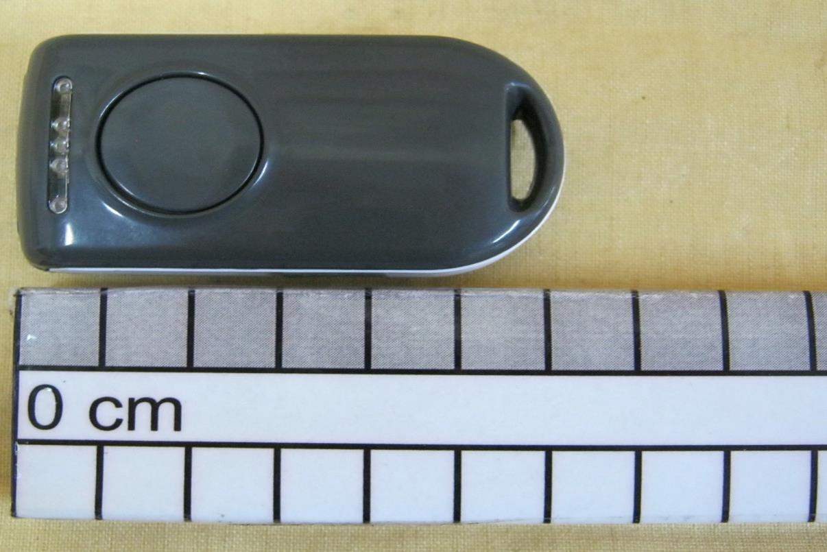 Product image for YRWBLUESCANDBS55