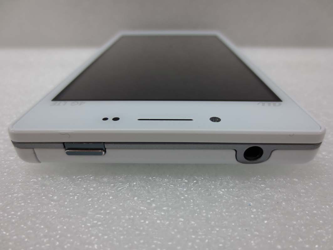 Product image for ZNFLGL21