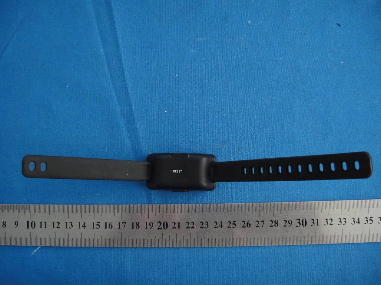 Product image for ZXO-BANDGM0001